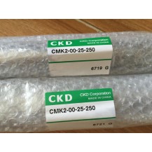 CMK2-00-25-250 CKD Small Bore Size Cylinder New