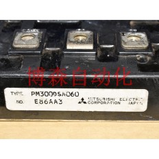 PM300DSA060 IBGT NEW