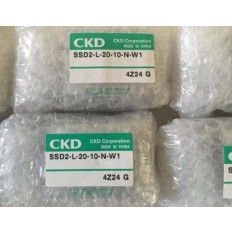 SSD2-L-20-125-N-W1 CKD Compact cylinder New