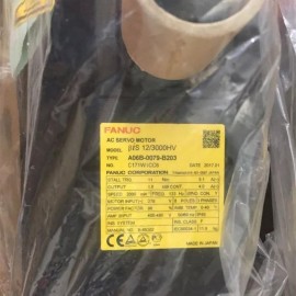 A06B-0079-B203 Fanuc AC Servo Motor BiS 12/3000HV New And Original