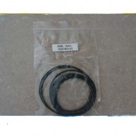 A98L-0001-0347#S255 Fanuc DDR O-RING New And Original