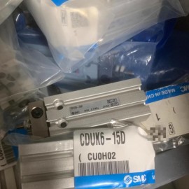 CDUK6-15D SMC Free Mount Cylinder New